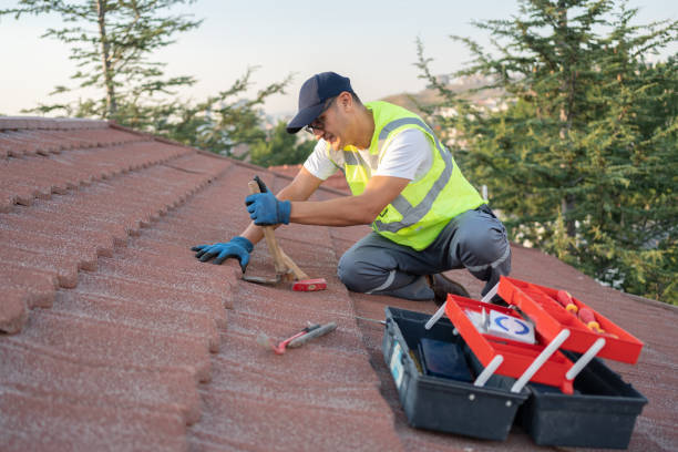 Best Commercial Roof Installation  in Pukalani, HI